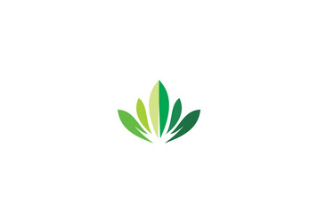 Green tea leaf icon Royalty Free Vector Image - VectorStock