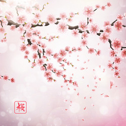 realistic japan cherry branch eps 10 Vector Image