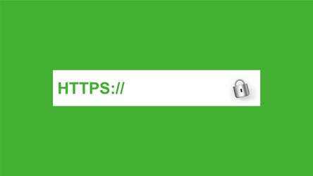 secured https secure connection protocol with web vector image