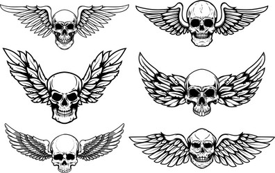 Winged Skull Set Vector Image