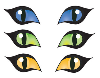 cats eye vector