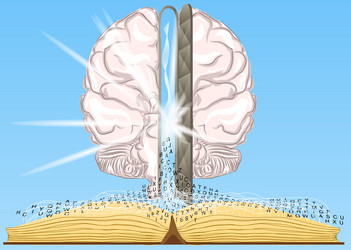 book is a source of knowledge vector image
