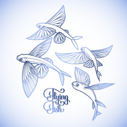 Flying Fish Vector Images (over 10,000)