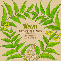 neem branches frame on color background vector