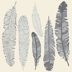 Ethnic feather set Royalty Free Vector Image - VectorStock