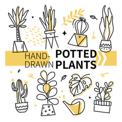 hand-drawn potted plants collection - set vector