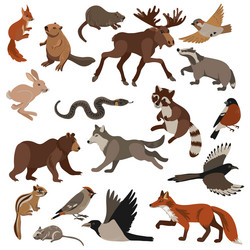 Forest Animals Collection Vector Image