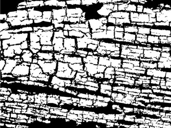 scratch grunge rusty background for create object vector image