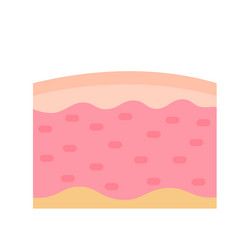 Human skin layer caring for protecting Royalty Free Vector