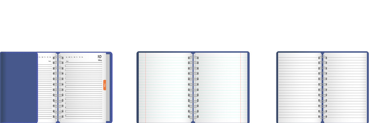 set templates realistic open notebooks diaries vector image
