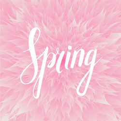 spring wording with floral elements vector image