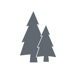 Spruce icon vector