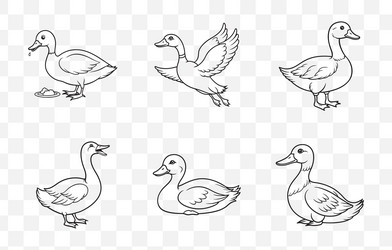 print comprehensive duck line art set vector image