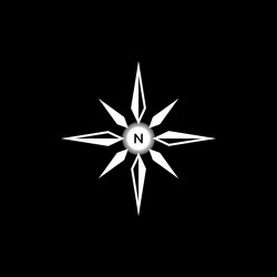 Unique compass swoosh adventure forest outdoor Vector Image