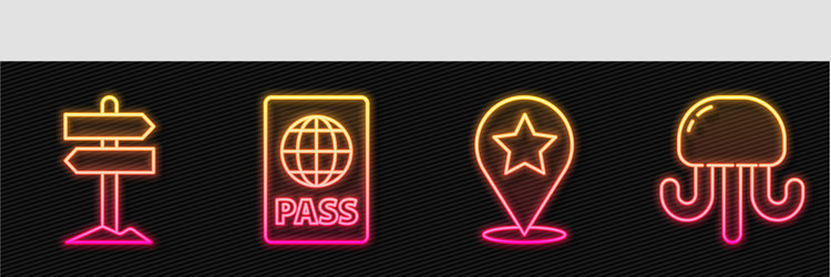 set line map pointer with star road traffic vector image