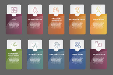 Infographic authentication template icons vector