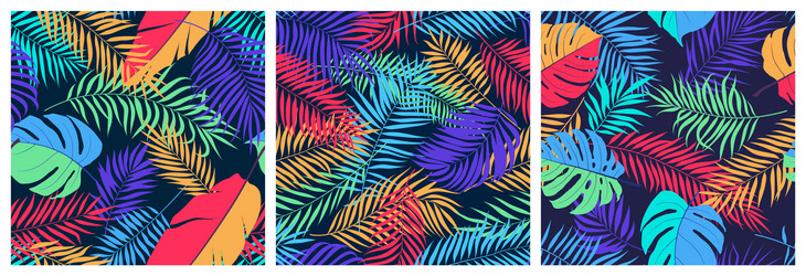 set seamless patterns with exotic colorful vector image