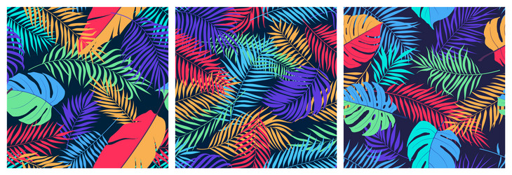 set seamless patterns with exotic colorful vector