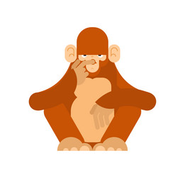 Stupid Monkey Vector Images (66) Stupid Monkey Vector Images (66)
