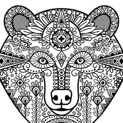 entangle bear head Vector Image