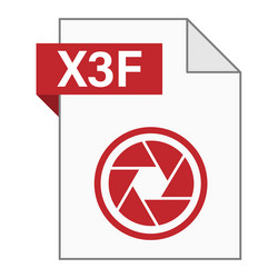 modern flat design of x3f file icon for web vector image