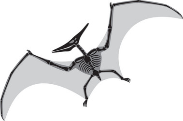 pterodactyl vector