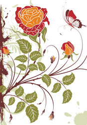 Floral grunge design elements set Royalty Free Vector Image