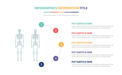 human skeleton bone infographic template concept vector