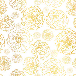 golden on white peony flowers summer vector