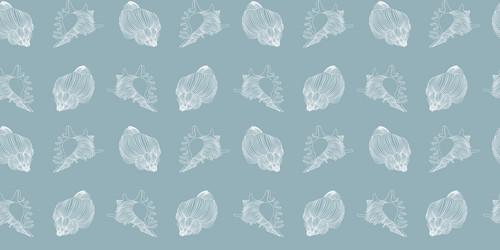 sea shells fossils and mollusks seamless pattern vector image