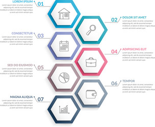 7 steps infographics vector