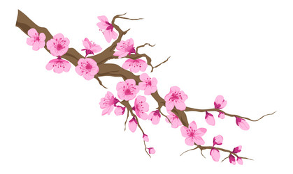 Cherry Blossom Branch Vector Image