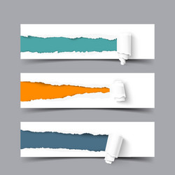 torn paper with a scroll vector