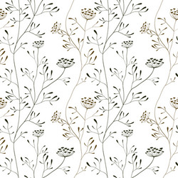 cow parsnip seamless pattern on white backdrop vector image