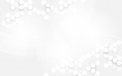 Abstract white hexagons technology digital hi tech vector