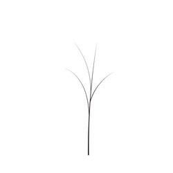 bald handdraw tree element for game design winter vector image