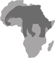 grey africa map isolated on transparent vector