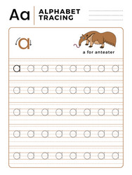 Letter a alphabet tracing book with example vector