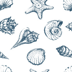 seamless pattern of seashells sketches vector image