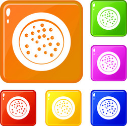 Peppercorns on a plate icons set color vector