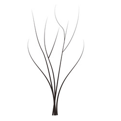 bald handdraw tree element for game design winter vector image
