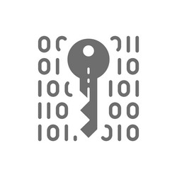private key coding cryptography cyber security vector image