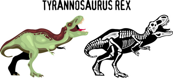 tyrannosaur rex vector