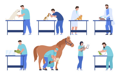 Professional veterinarians set flat vector