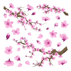 sakura blossom cherry tree with flowers pattern Vector Image