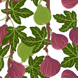 seamless pattern with fig tree branch vector image