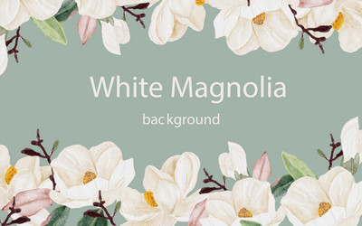 watercolor white magnolia flower branch bouquet Vector Image
