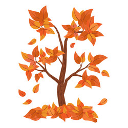 Autumn tree with falling leaves isolated on white vector