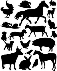 Domestic Animal Silhouettes Vector Image