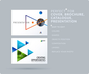 Triangular Presentation Template vector image